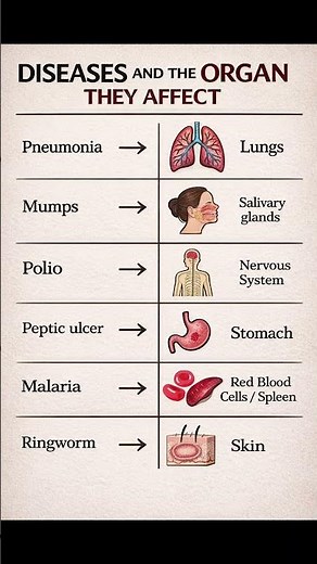 10 Diseases and the Organs They Affect (Your Body’s Warning Signs)” 🫀🧠 #food