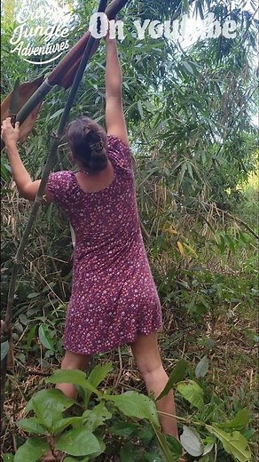 Gathering bamboo sprouts.#offgridliving #survival