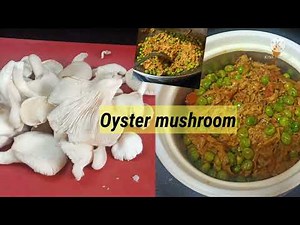 Oyster mushroom recipe/how to clean oyster mushroom/#oystermushroomrecipe #mushroomkaisebnaye