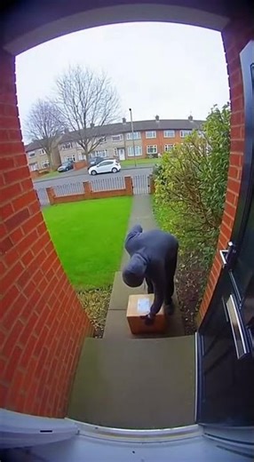 Parcel Pirate Revenge! Instant Karma