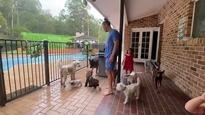 126K views · 10K reactions | Christmas Day was a big special day...