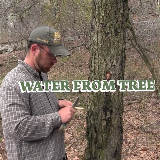 Tapping Trees For Life-Saving Water In The Wild 🌳🚰 | Best Athlete Performance