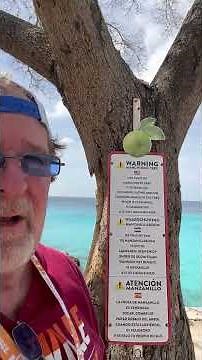 WHY IS THIS TREE 🌳 SO POISONOUS ☠️?