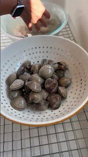 How to easily clean your clams out of any sand or grit!