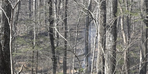 Augusta County resident recounts witnessing the car accident that ignited fire