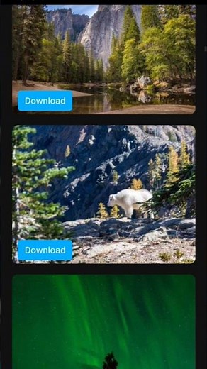 Free Photo Downloading App Using HTML CSS JS 📸 | Coding Project”