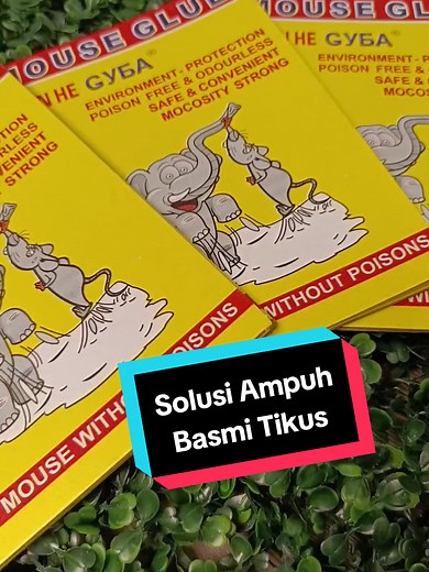 Panduan Menggunakan Lem Tikus Super Anti Tikus