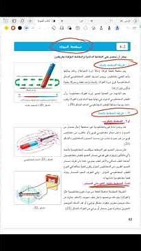 A question about the magnetization of materials, a Ministry exam question for 3rd year middle sch...
