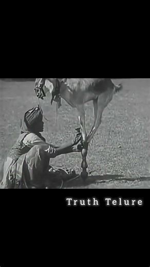 Tahe rare footage of Indian culture #truthtelure #mindgames #humanpsychology #factsinhindi #