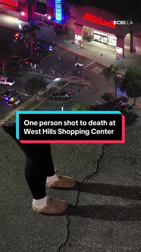 An alleged armed robbery suspect was shot and killed by LA County Sheriff's Department detectives Thursday night, as they attempted to intervene in the West Hills shopping center incident and prevent a robbery, according to authorities. Around 8:30 p.m., detectives saw a man committing an armed robbery in front of a business in the 6600 block of Fallbrook Avenue, in the parking lot outside a Michaels store. According to the sheriff's department, when detectives tried to protect a female victim a