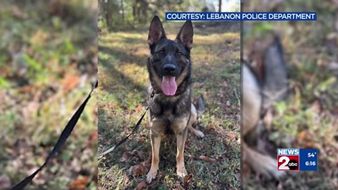 Lebanon K-9 gets bulletproof vest