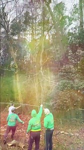 Jireh Tree Services Landscaping