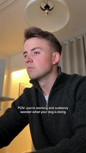 Olli on Instagram: "That’s where you’ll find him 梁❤️ #cutedog #shihtzulovers #malteselovers #dogdad #doggi"