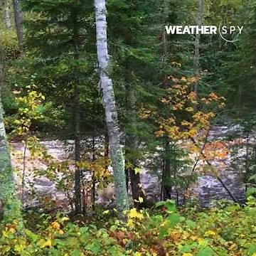 Beaver Dam Collapsing in Cook, Minnesota