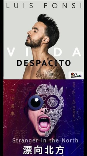 Despacito x Stranger in the North (mashup) - Luis Fonsi, Daddy Yankee, Namewee, Leehom Wang