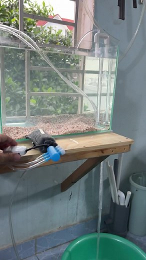 luckycnc8 trên TikTok