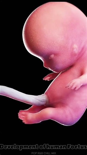 #Development of human Foetus #