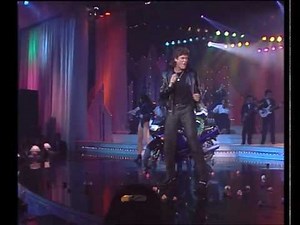 David Hasselhoff - "Crazy For You" 1990