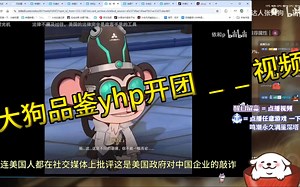大狗品鉴yhp开团 _ _ 视频