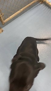 2.9K views · 164 reactions | Awww – Mia is adorable! Mia was dropped...