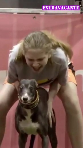 ¡No CREERÁS lo que hace esta MUJER con su PERRO!🐶 #parati #viral #miedo #miedoyterror #terror #terrorifico