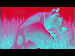 Gopher Broke in G Major Effects