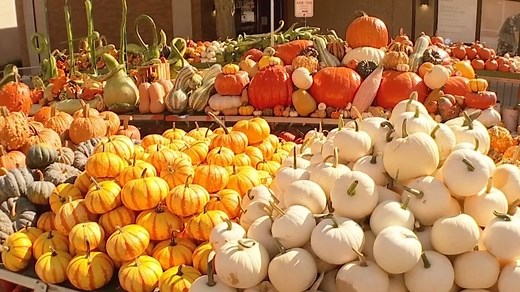 Circleville Pumpkin Show: what to know before you go