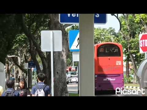 Sbs Transit Buses Arrived & Departing