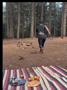 #morocco when you want to have good time in the forest but monkeys have another opinion 😁 _________________________________________________ #morocco #marrakech #tourist #travel #vacation #moroccotravel #chefchaouen #traveltheworld #stunning #america #france #portugal #australia #spain #tourism #tourist #essaouira #fes #agadir #MoroccoNow #essaouira #rabat #rabatmorocco #monkeys | Moroccan Kingdom