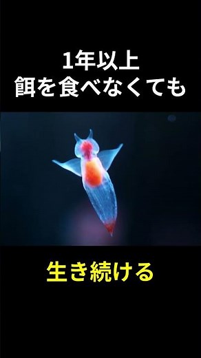 【クリオネの生態雑学8選】捕食シーンは悪魔的に怖い？ #クリオネ #雑学 #ペット #shorts