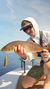 Hard to beat a Redfish smashing a J-Walker‼️ 3x anti-rust Fusion19 hooks with 10 saltwater specific colors makes the J-Walker Saltwater primed for whatever you’re chasing in the salt💥 #berkleyfishing #yourfishourscience #fishing #inshorefishing #saltwater #topwater | Berkley Fishing