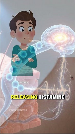 Why Does Our Skin Itch? 😖