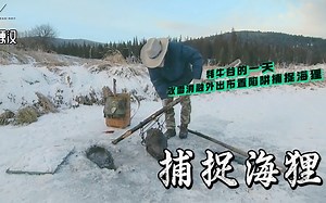 山地硬汉：一件事做上50年老猎人汤姆凿冰捕捉海狸