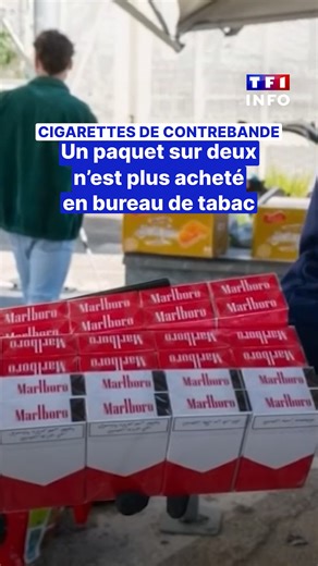 🚬 Un trafiquant qui se faisait passer pour un docker a été interpellé mi-janvier par les douanes à Marseille (Bouches-du-Rhône). L'homme, âgé d'une quarantaine d'années, a tenté de dérober plusieurs milliers de paquets de cigarettes. De quoi illustrer l’ampleur croissante du trafic illégal de cigarettes de contrebande, en pleine expansion sur l’ensemble du territoire français. | TF1 INFO