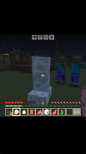 Minecraft Trolling zombiez