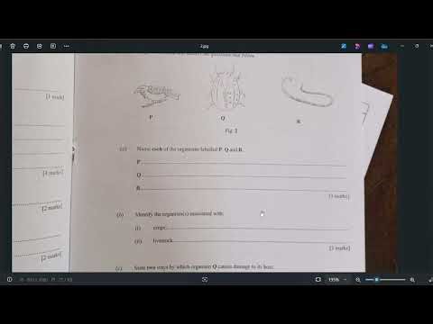INTEGRATED SCIENCE 2025 NOV-DEC PRACTICALS QUESTIONS