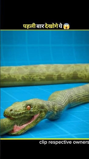snake eat itself 😱 #facts