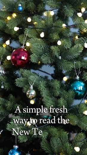 A simple, fresh way to read the New Testament. Short daily readings guided reflections to help you slow down, reset, and reconnect with Scripture this season. Whether you’re starting your Bible journey or finding your way back this makes a meaningful, gentle companion. Click the link to order the paperback in time for Christmas delivery - https://amzn.eu/d/4DfxRRQ | Croydon Vineyard Church