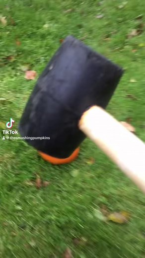 sum ppl think its even dun to smush smashkins | pumpkin