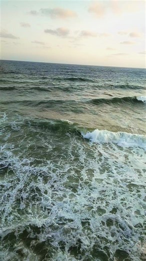 #mostafa #مشاهير_تيك_توك_مشاهير_العرب #مشاهير_تيك_توك #مشاهير #explore @Amr Diab @tamerhusseinofficial @Mohamed Yehia @Aziz Elshafei @Ayman Bahgat Kamar