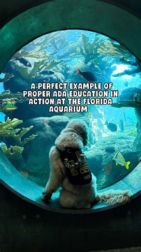 This is what proper ADA training looks like in real life. Today, I took my service dog in training to the aquarium. Staff asked the two legal questions calmly and respectfully. They didn’t ask for paperwork. They didn’t demand to know my diagnosis. They didn’t try to test my dog. They weren’t rude, sarcastic, or suspicious. They verified what they’re legally allowed to verify, and then we moved on. It is not hard to be educated on the ADA. It is not hard to train staff on what they can and canno