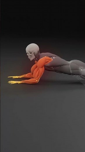 Lower Back Hurts During Planks? Fix This