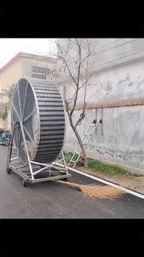 ఈ లాబ్రాడర్ కుక్కకు శక్తి (Energy) చాలా ఎక్కువ.