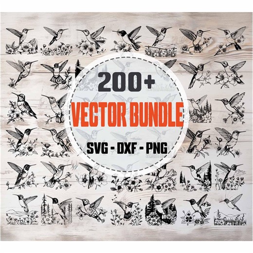 Hummingbird SVG Bundle | Bird Silhouettes and Clipart,digital Cut Files for Cricut and Silhouette, Colibri Vector, Png Dxf Svg - Etsy