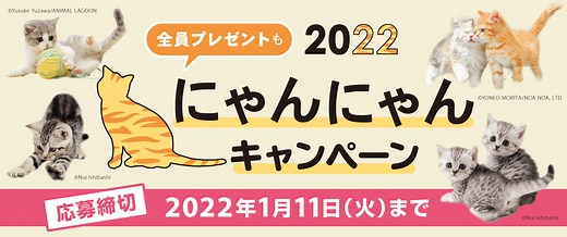 2022 にゃんにゃんキャンペーン - インプレスブックス