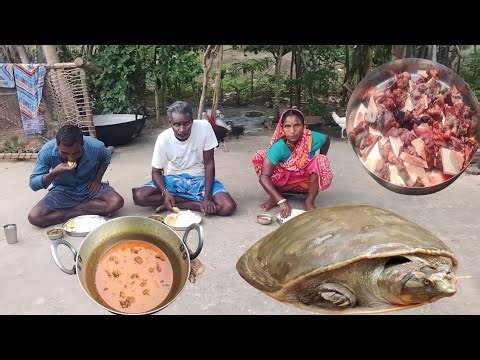 TURTLE CURRY recipe||Traditional Turtle curry cooking by village couple||rural village life...