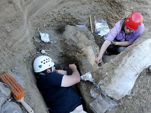 Rare mammoth fossil found in California national park