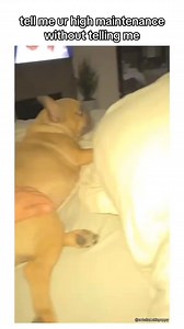 minniecantalk on Reels