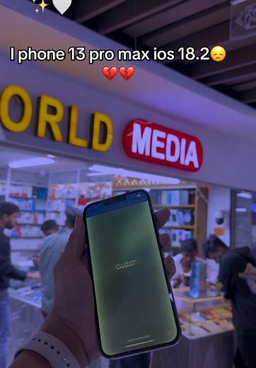 iPhone 13 Pro Max Display Issues and Fixes