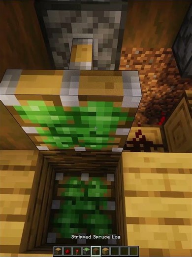 Minecraft Blocks Change💀